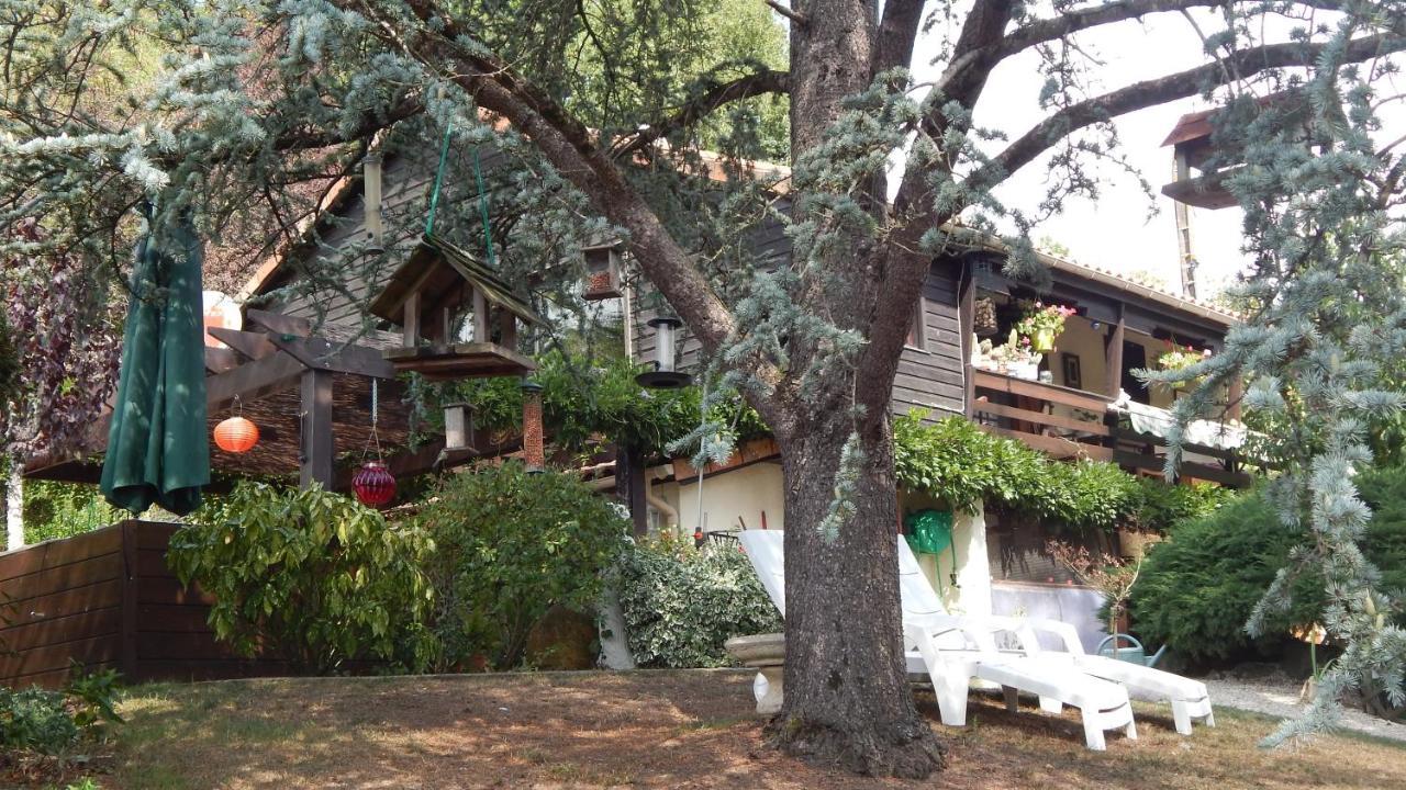 The Petite Chalet Chambre d'hôtes L'Isle-Jourdain (Vienne) Exterior foto