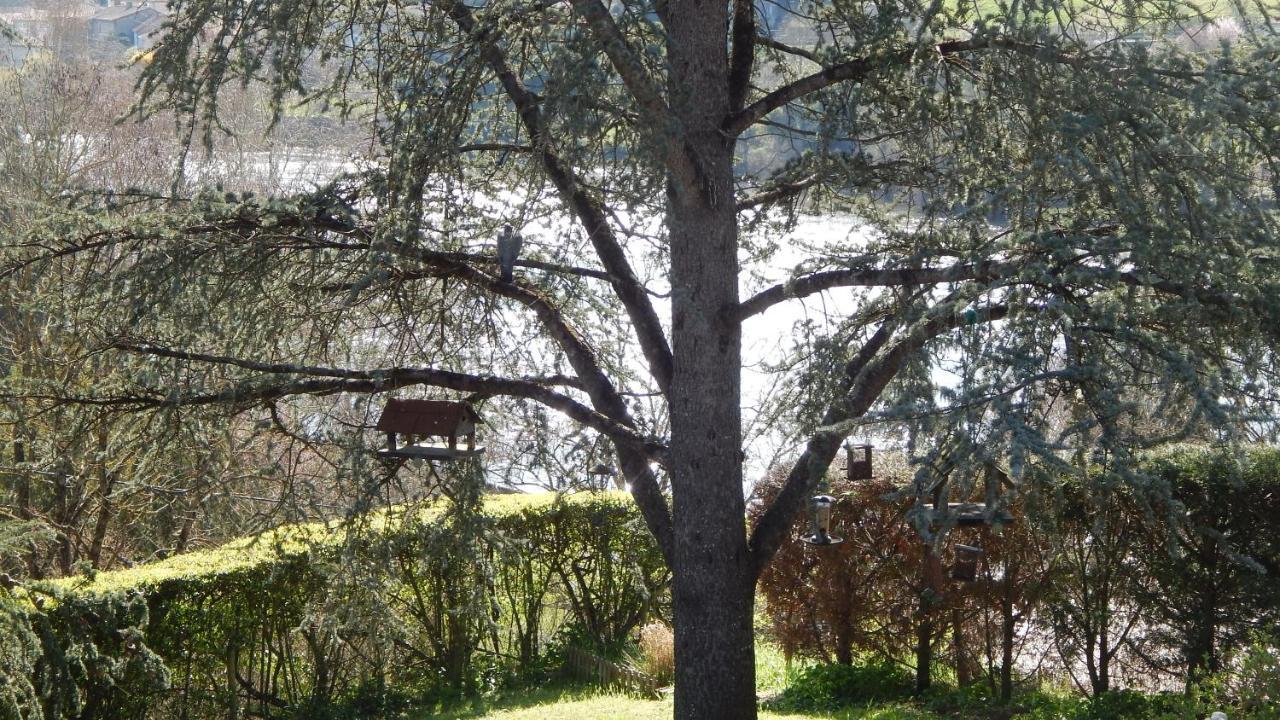 The Petite Chalet Chambre d'hôtes L'Isle-Jourdain (Vienne) Exterior foto